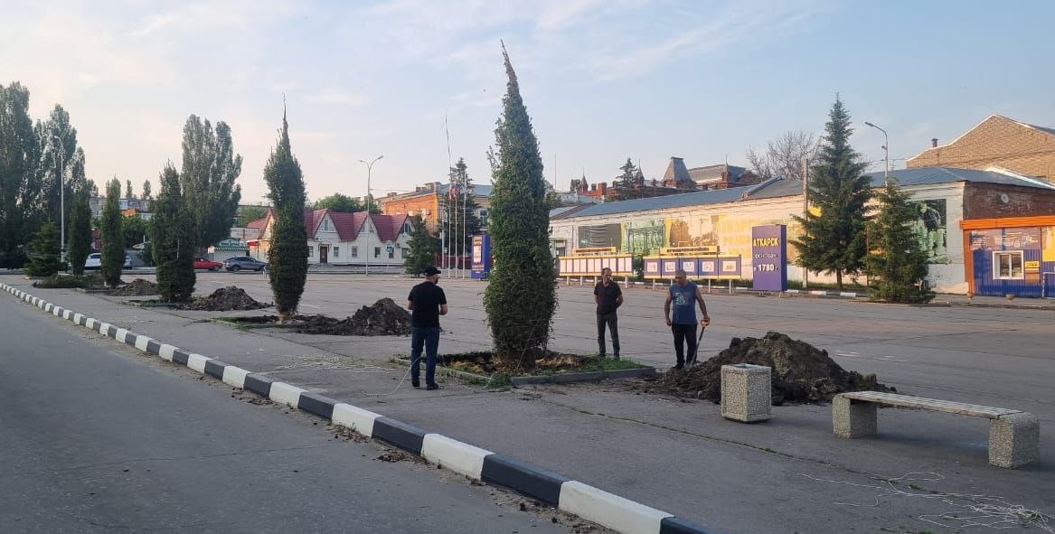 «Поливайте, не загубите!»: Аткарску подарили ели